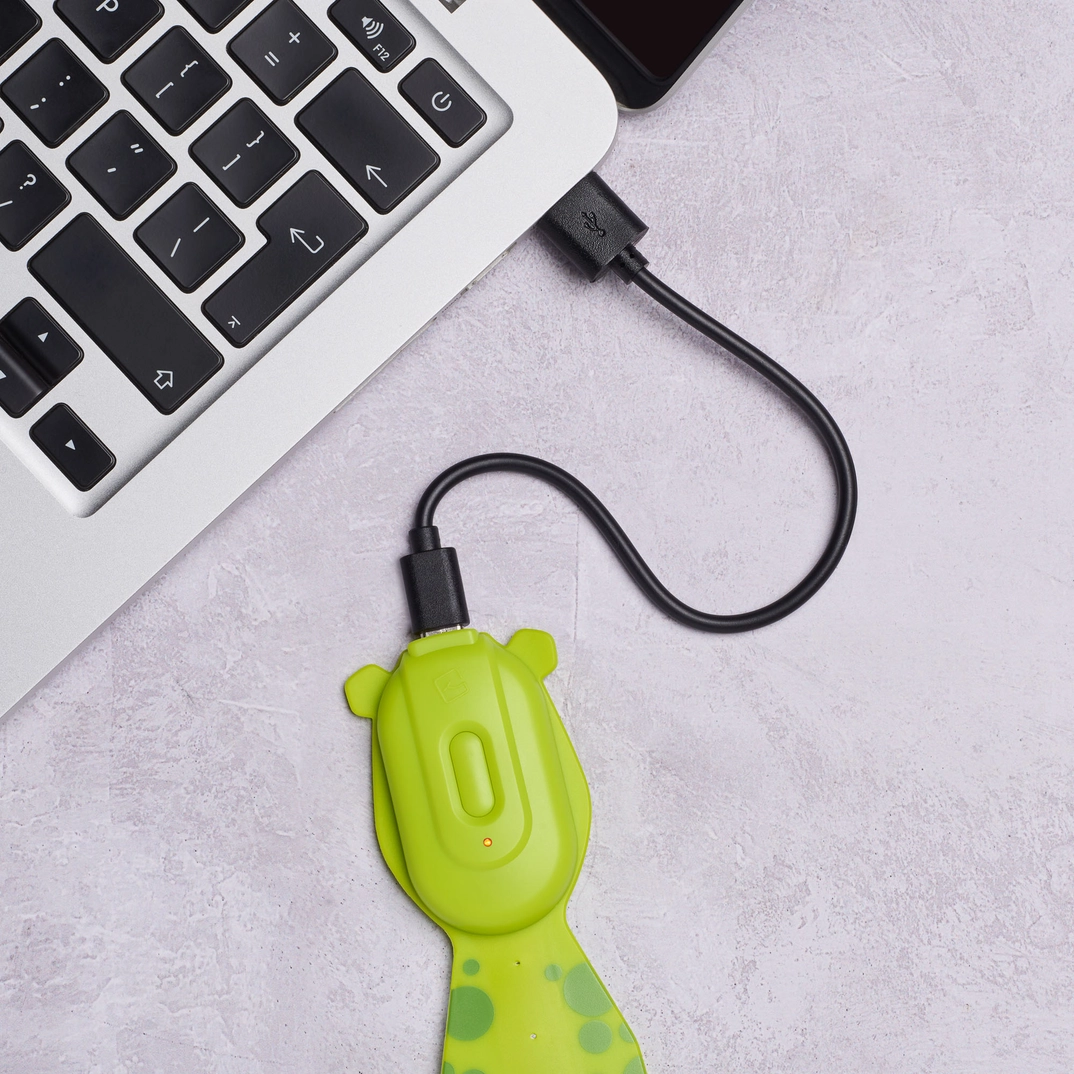 Flexilight Recharge Frog LED