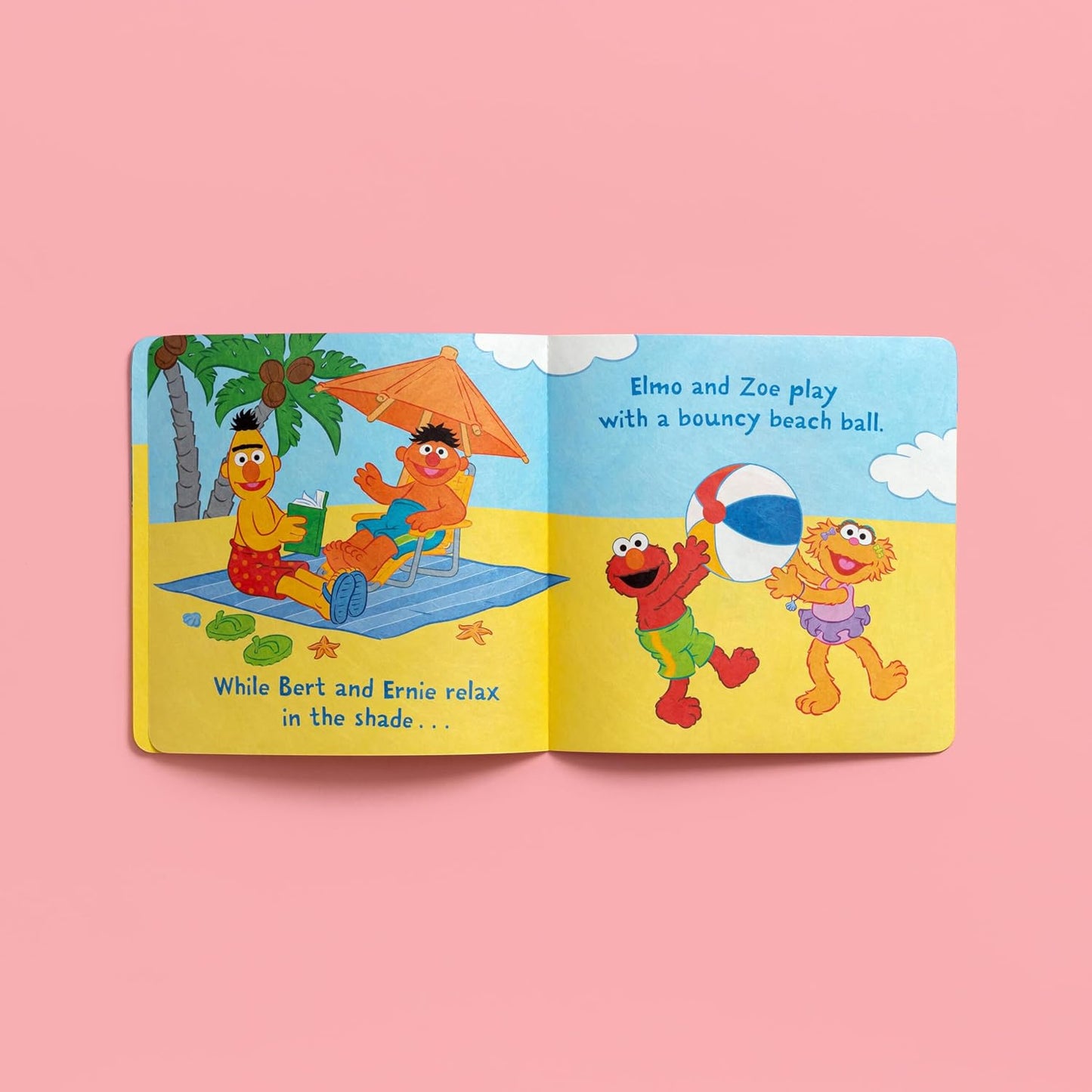Beach Day Sesame Street Indestructibles Book