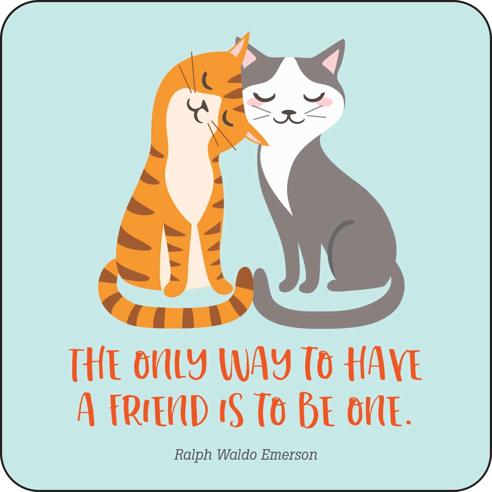 Kindness Lunch Box Notes