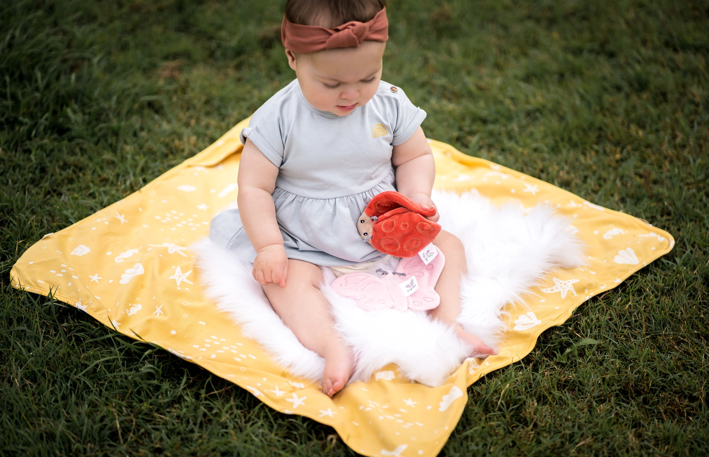 Ladybug Crinkle Toy