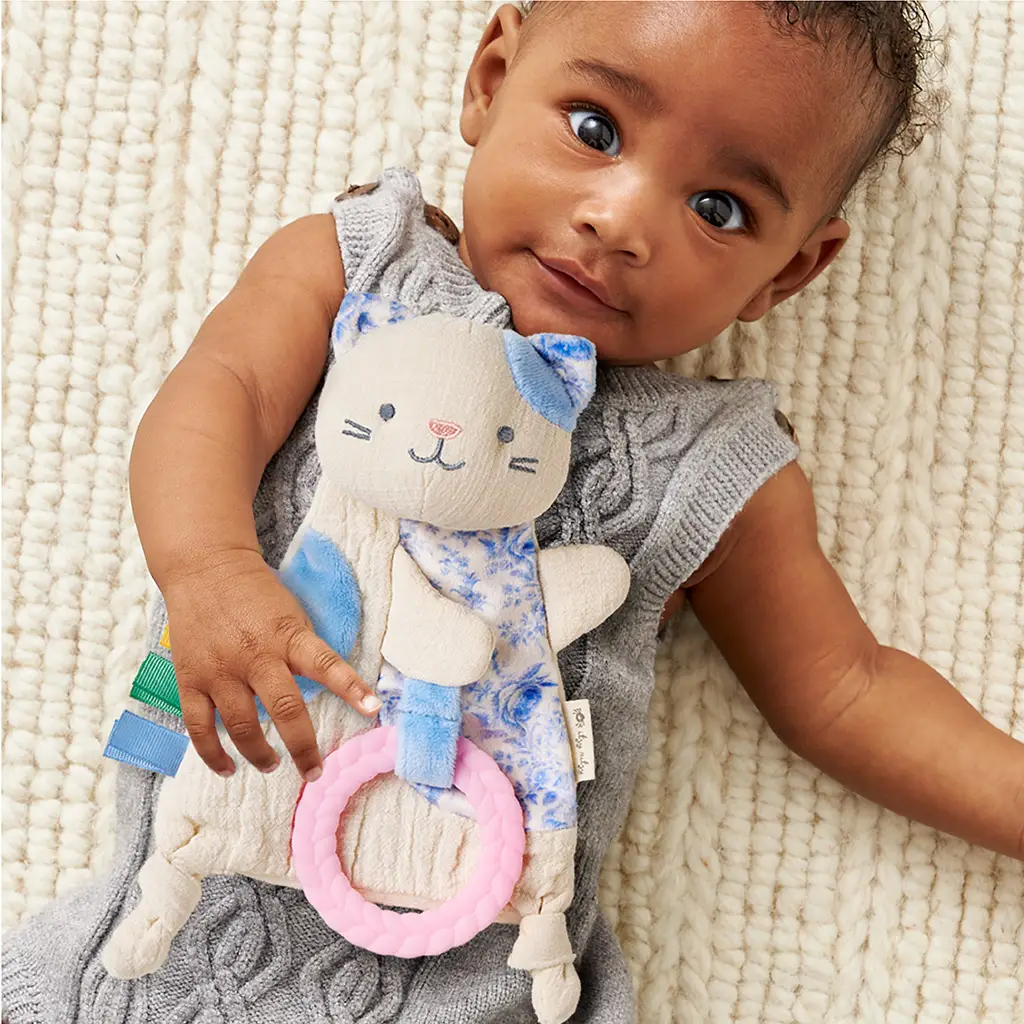 Kitty Bitzy Crinkle Toy