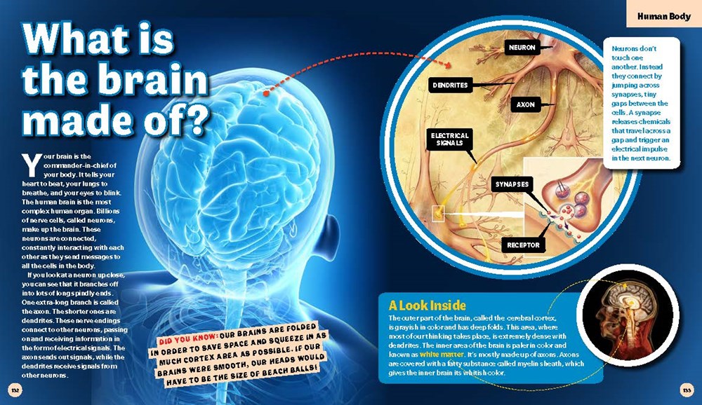 Big Book of Answers Kid Book