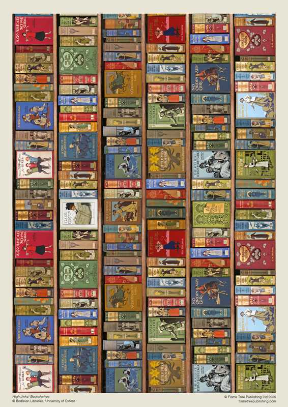 High Jinks Bookshelves Puzzle