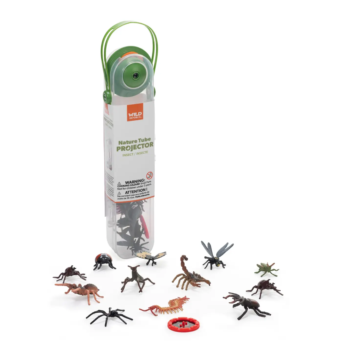 Nature Tube Projector Insects