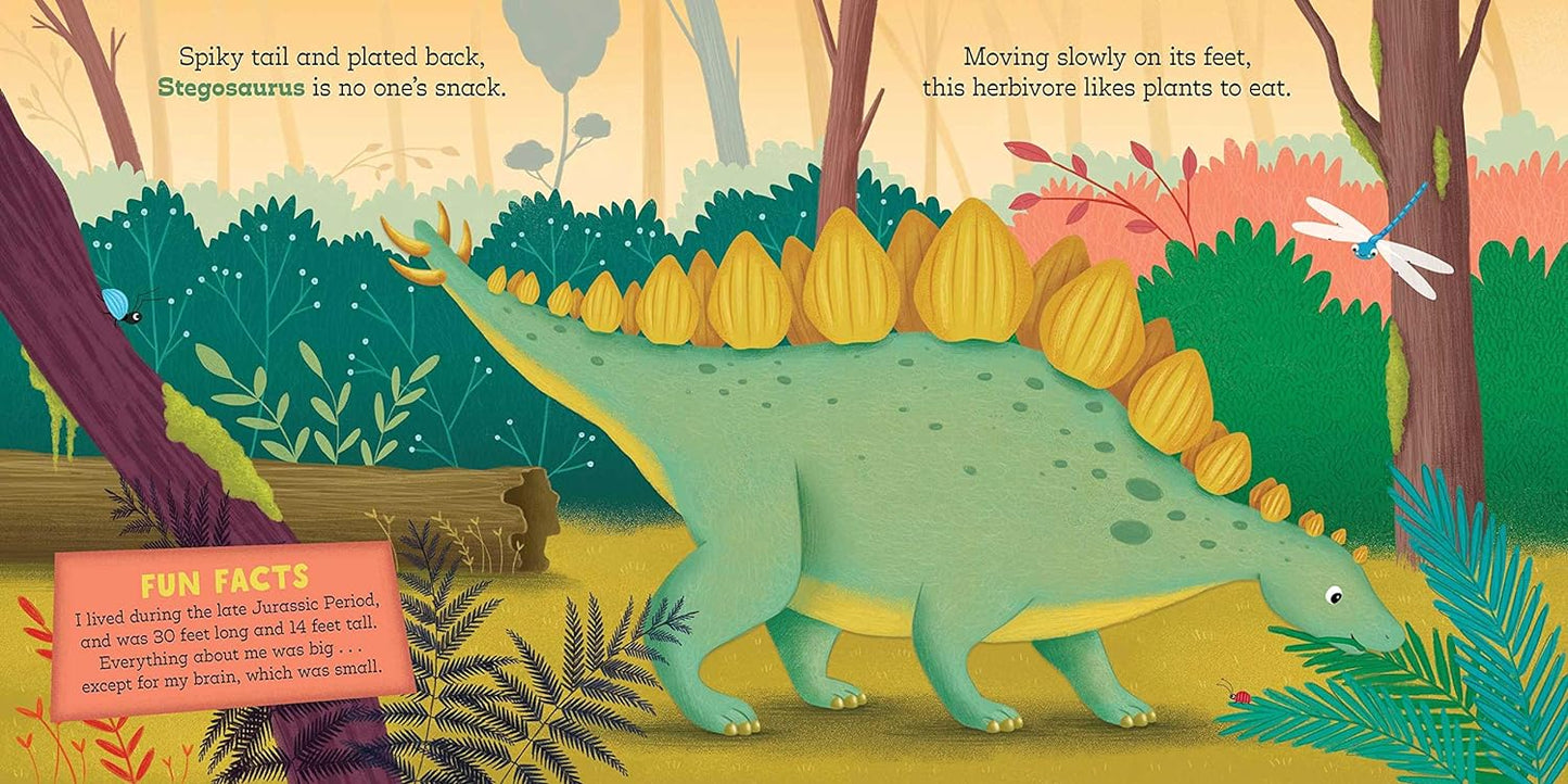 Little Genius Dinosaurs Book