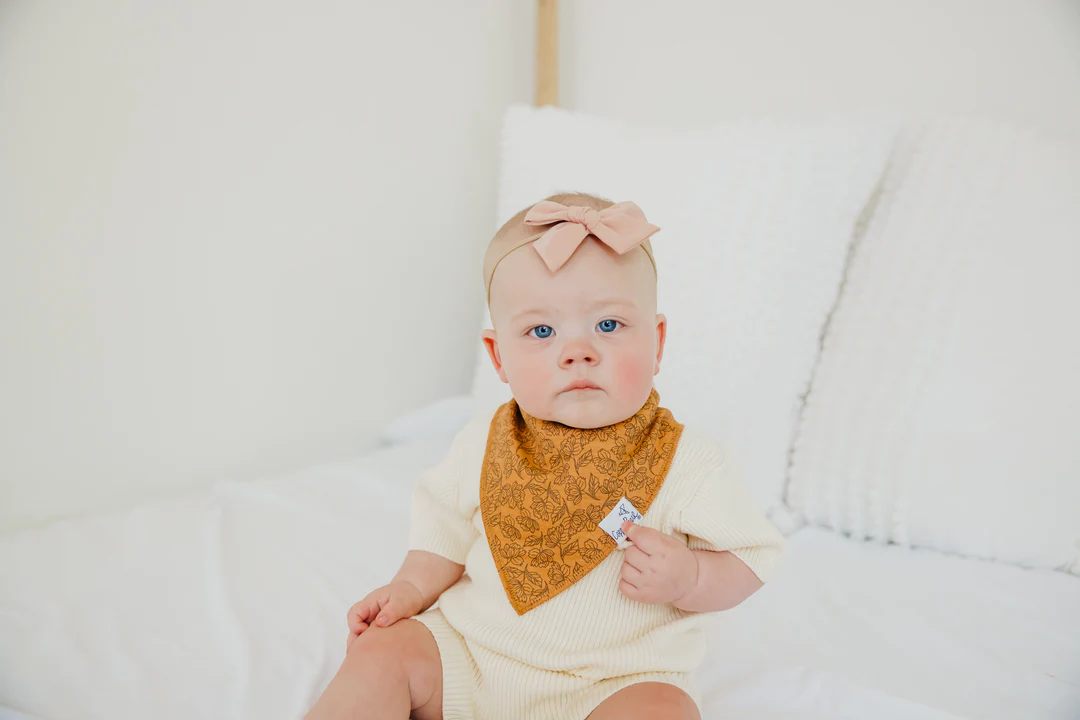 Eden Bandana Bib Set 4pk