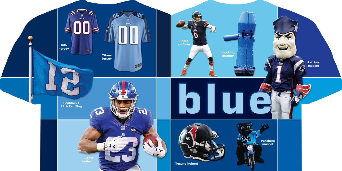 NFL Football Colors Board Book