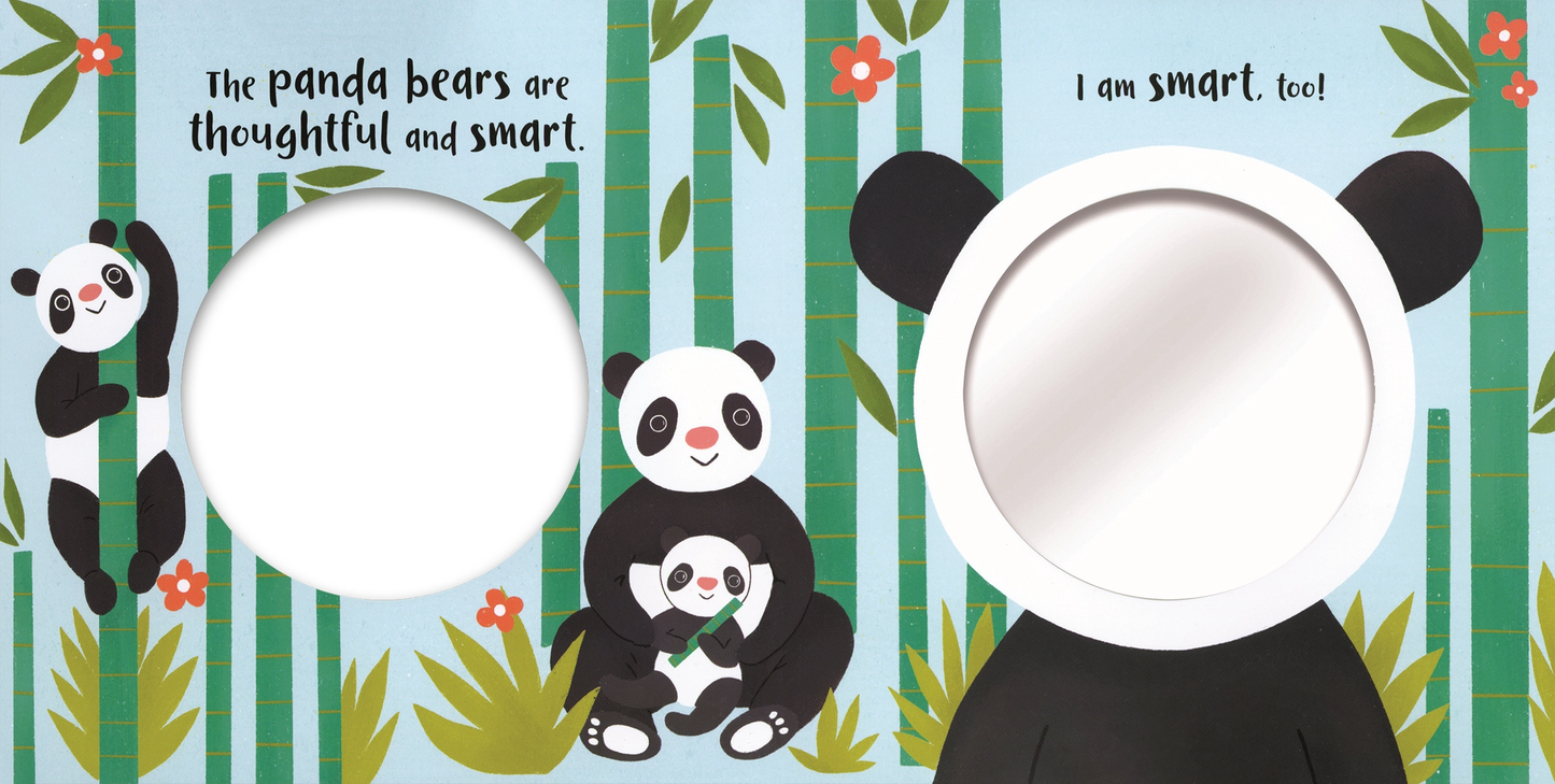 Happy Faces Mirror Board Book