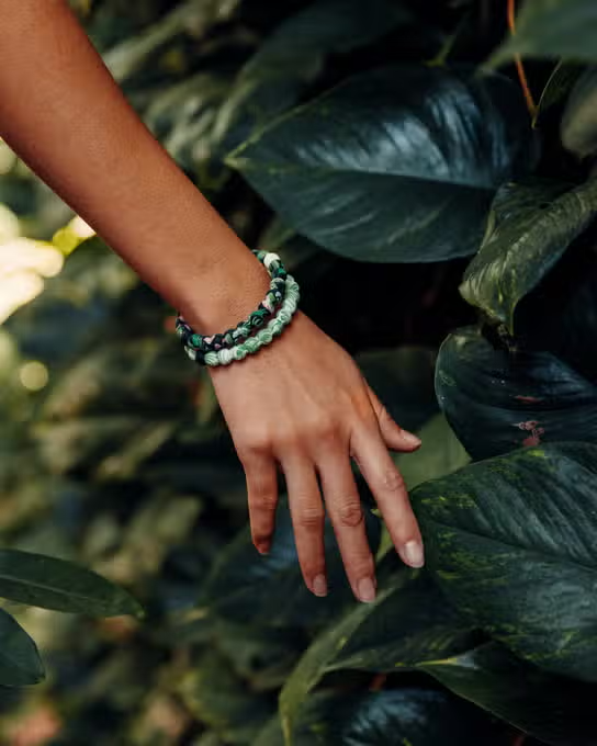 Lokai Bracelet Palm Botanical