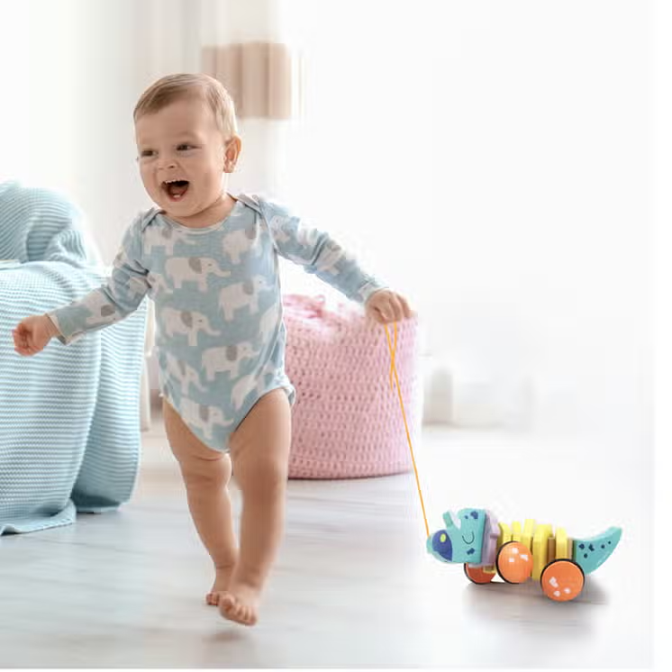 Wood Triceratops Pull Along Toy