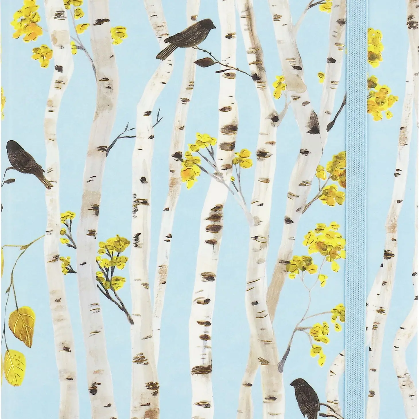 Birch Woods Journal