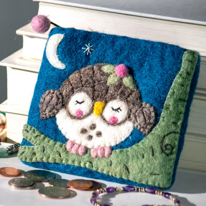 Felted Coin Purse Olivia Owlette