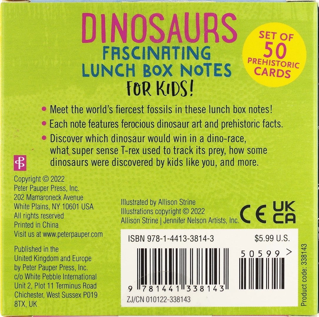 Dinosaur Lunch Box Notes