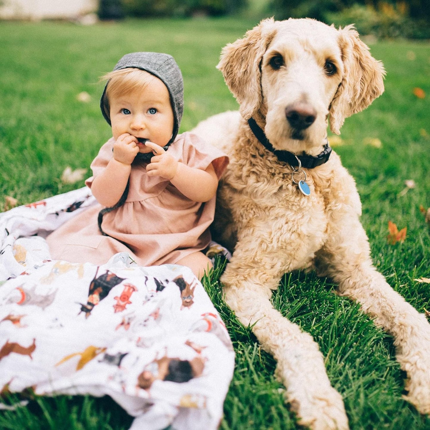 Cotton Muslin Swaddle Woof