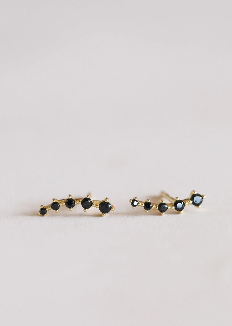 Crawler Earrings - Black