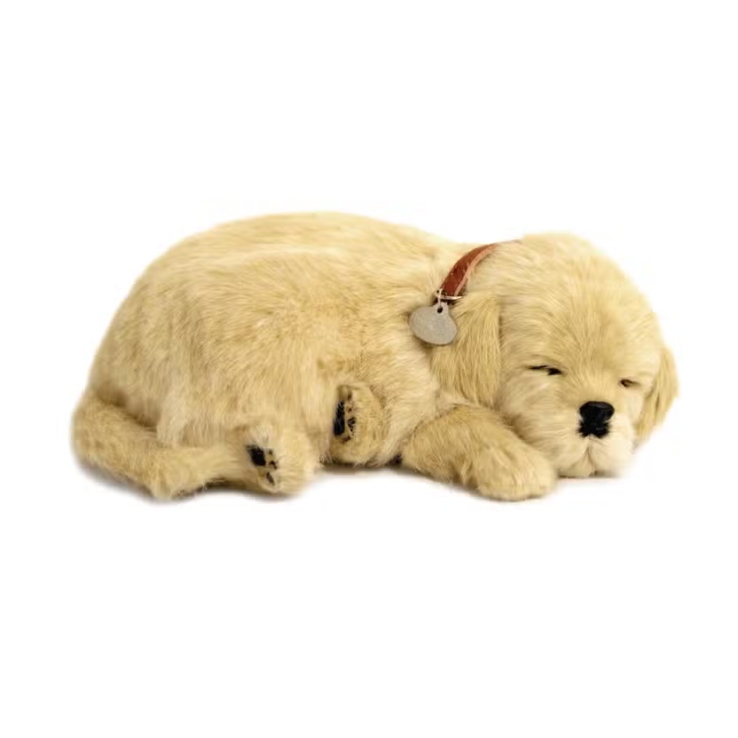 Original Perfect Pet