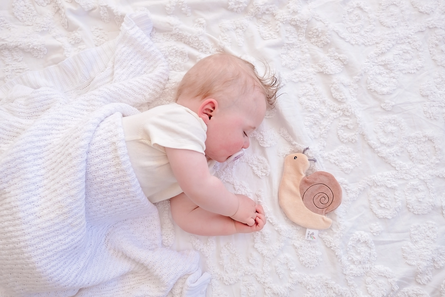 Snail Crinkle Toy