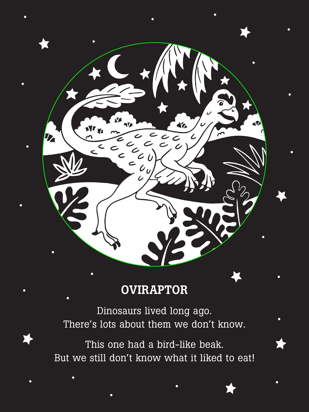 Dinos After Dark Shadow Book