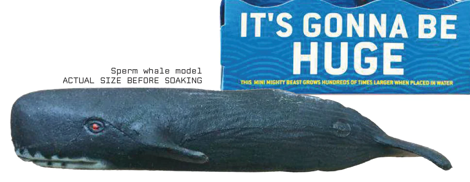 Swell Polymer Sperm Whale