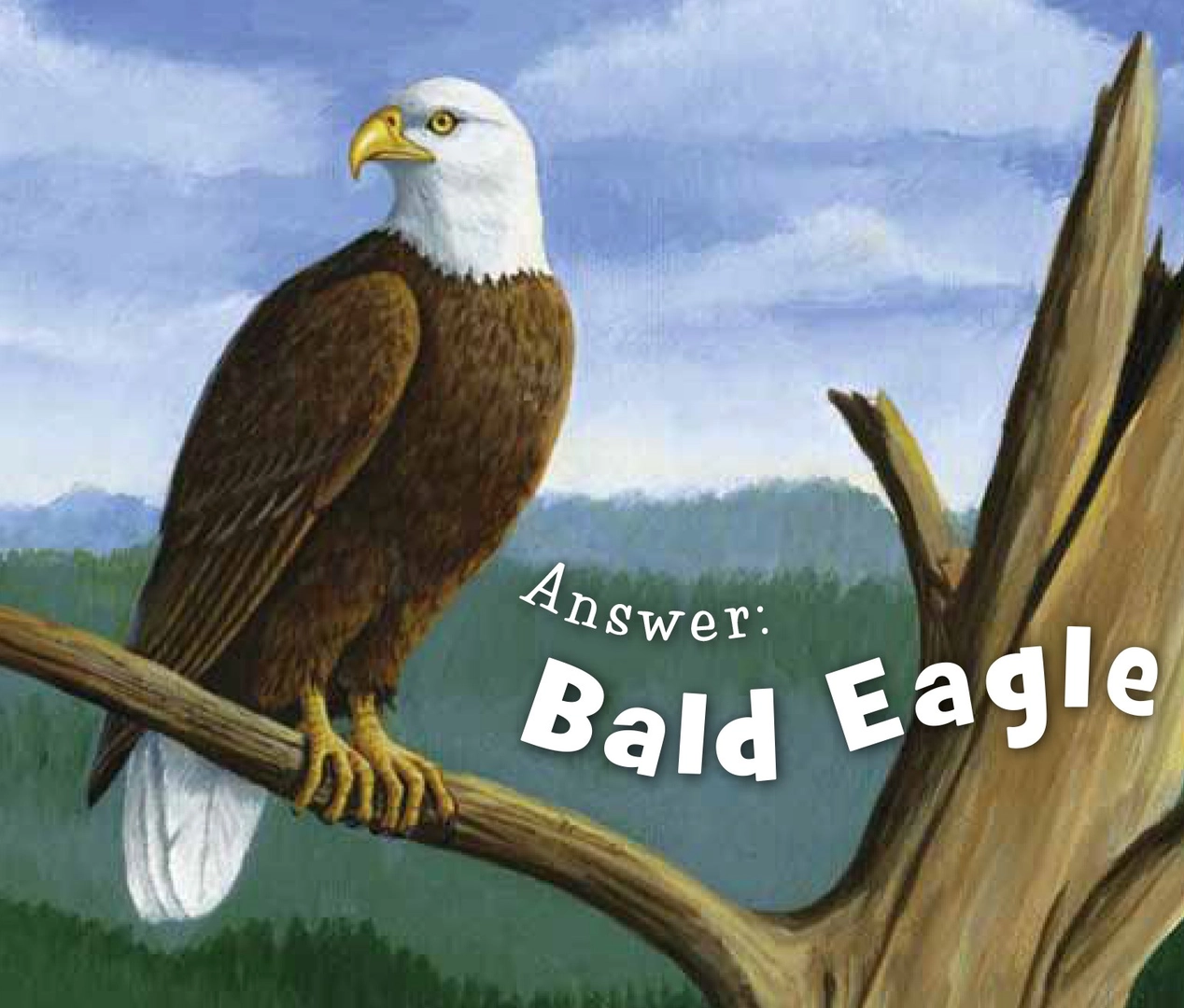Little Wisconsin Board Book