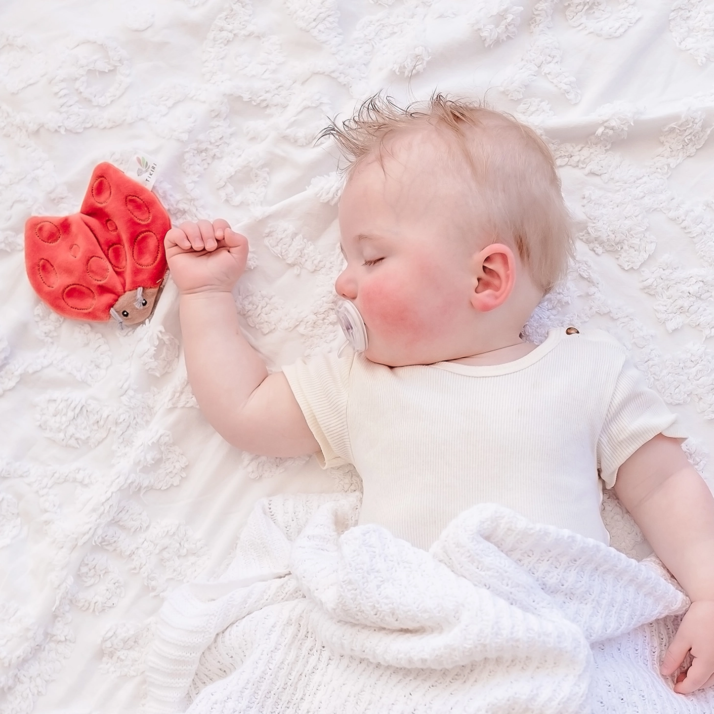 Ladybug Crinkle Toy