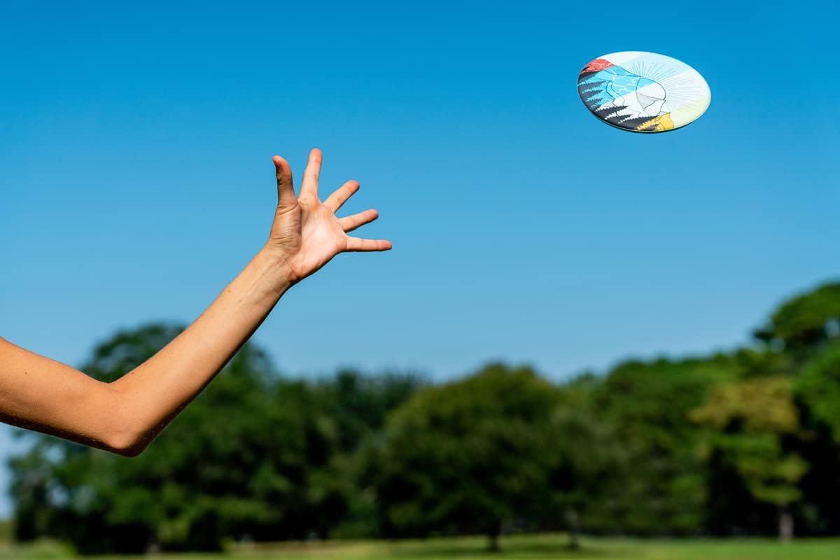 Wingman Frisbee Disc