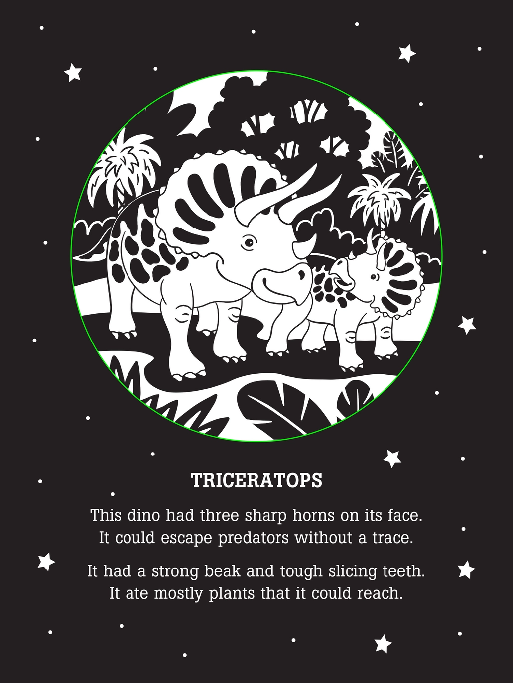 Dinos After Dark Shadow Book