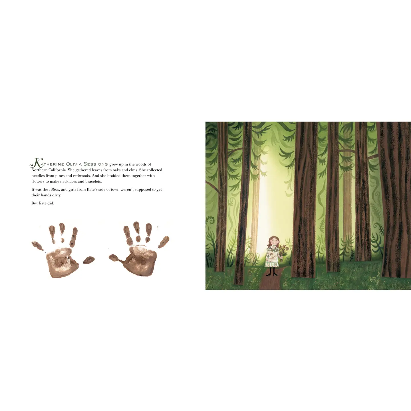 Tree Lady Book