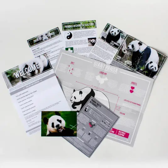 Adopt a Panda