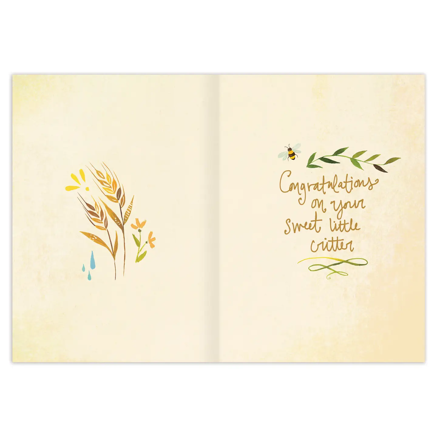 Whole Universe Baby Card