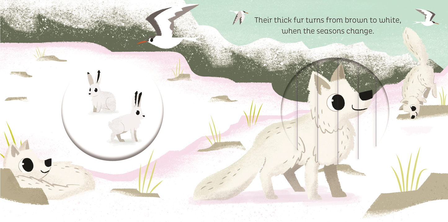 In the Snow Board Book