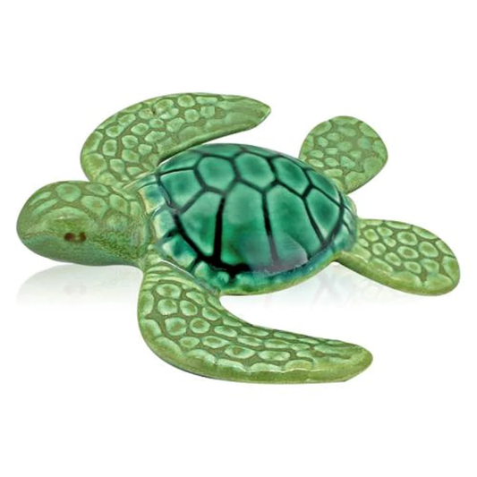 Small Green Turtle