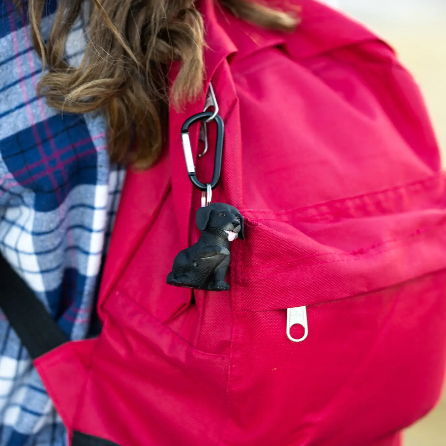 WildLight Dog - Black Labrador Dog