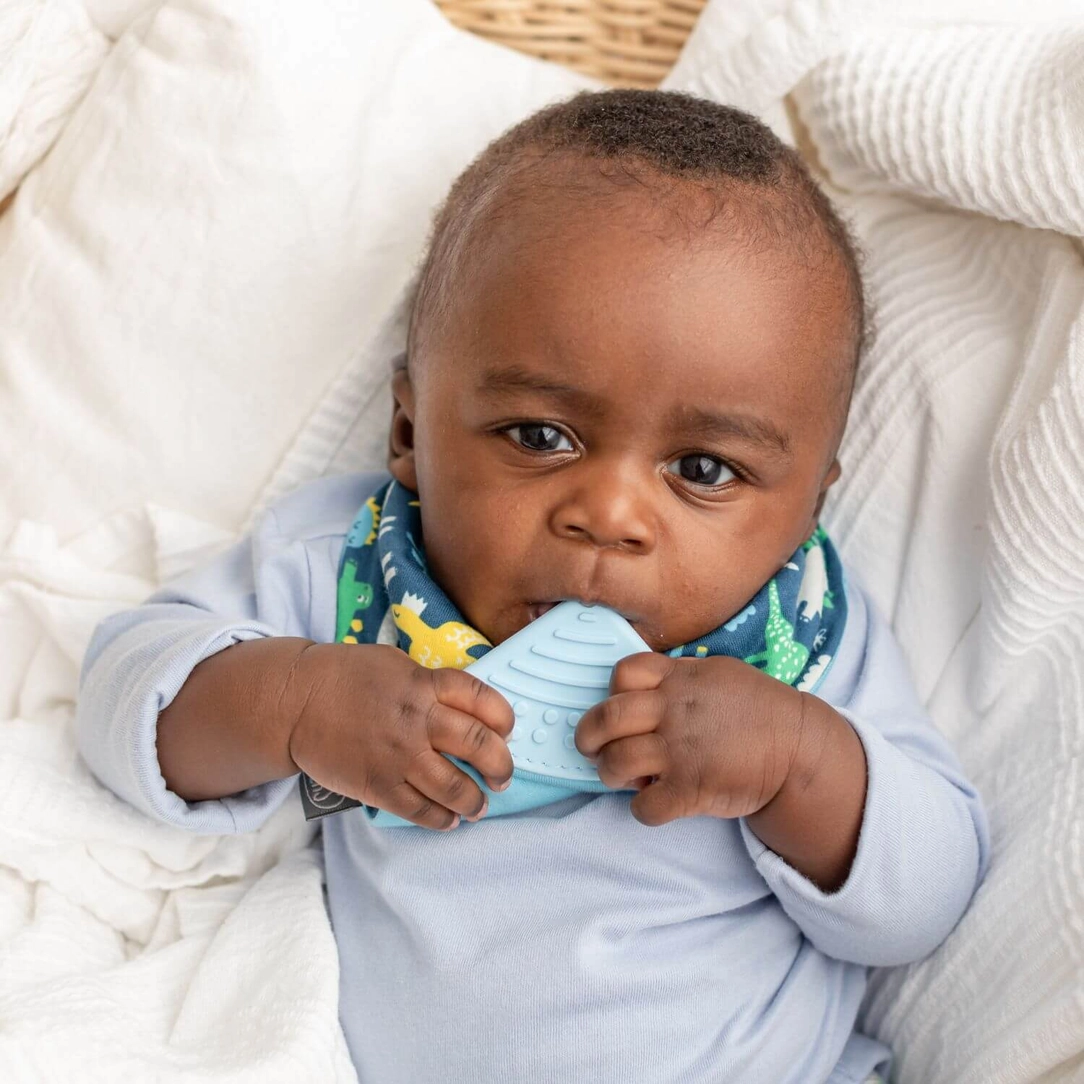 Neckerchew Bib Baby Dino