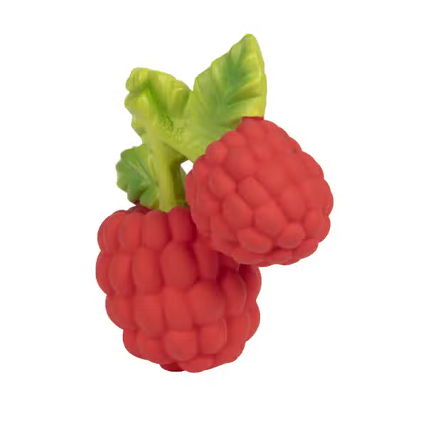 Valery the Raspbery Teether