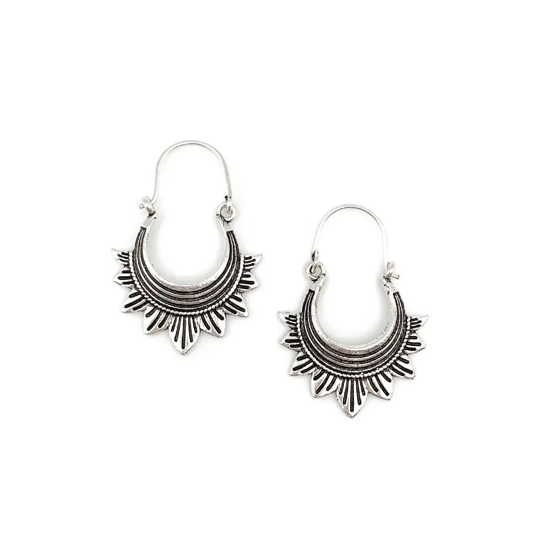 Striped Ray & Curve Earrings