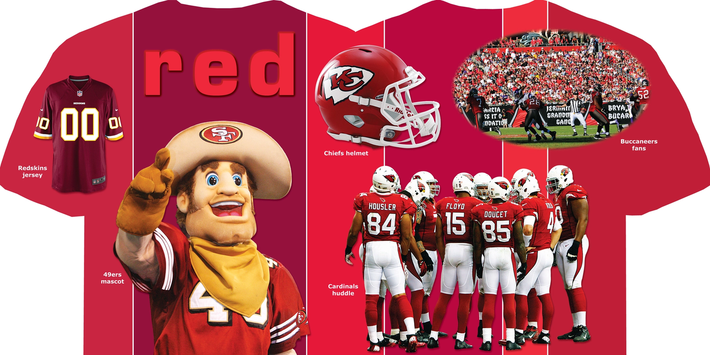 NFL Football Colors Board Book