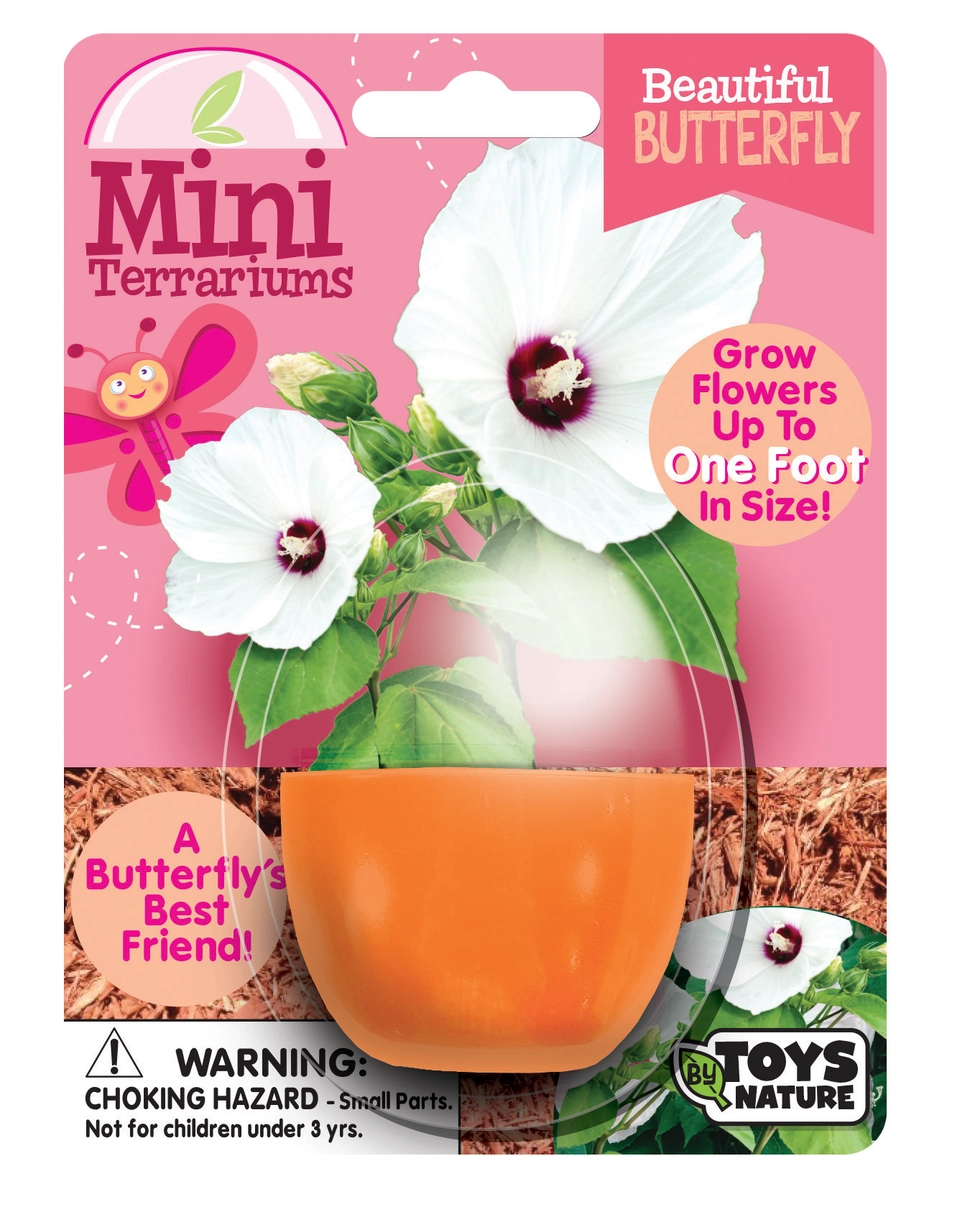 Itty Bitty Terrarium