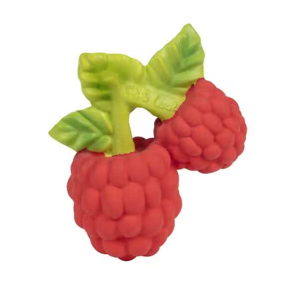 Valery the Raspbery Teether