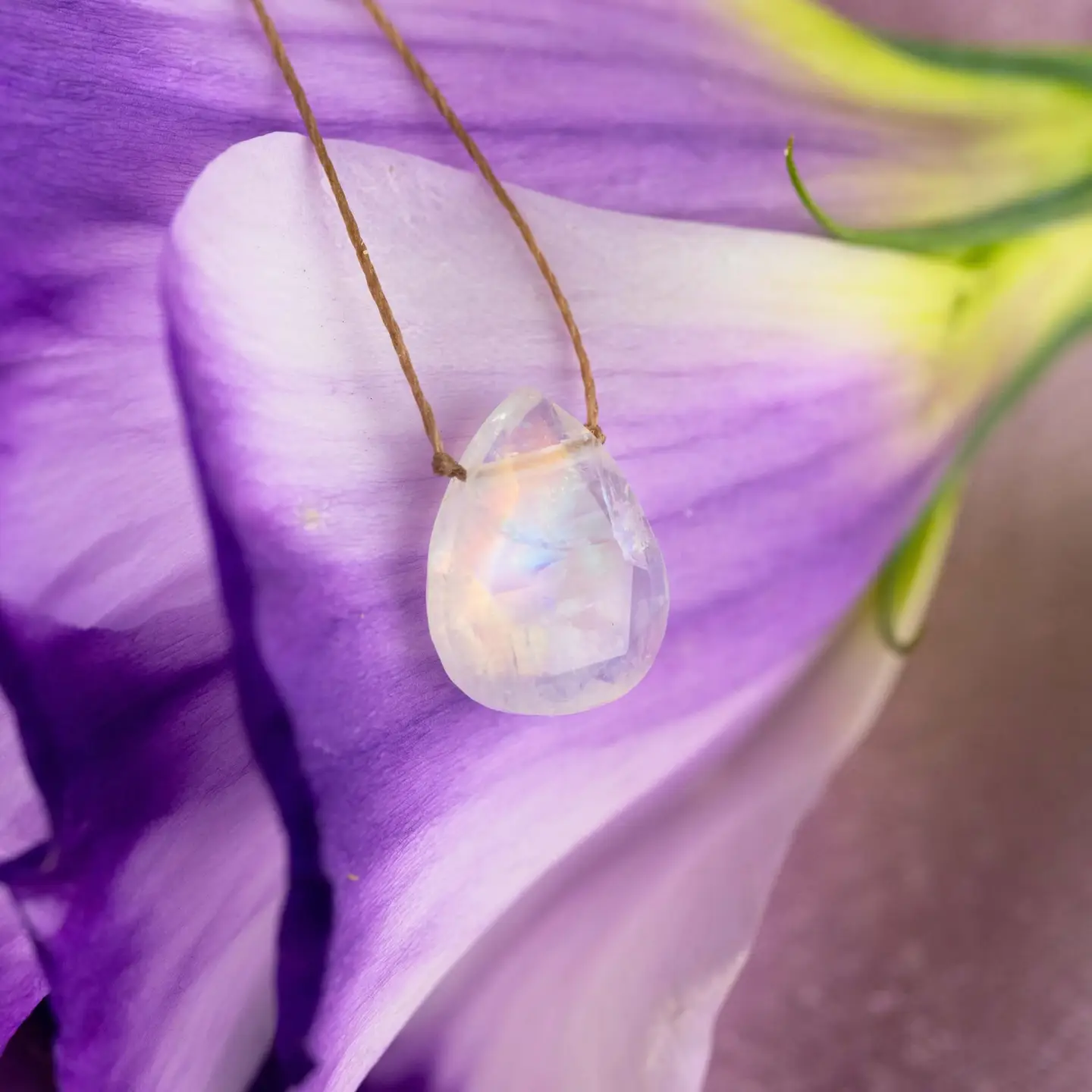 Luxe Necklace Moonstone for Sisterhood