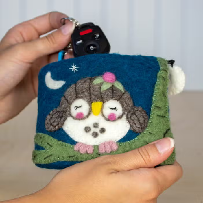 Felted Coin Purse Olivia Owlette