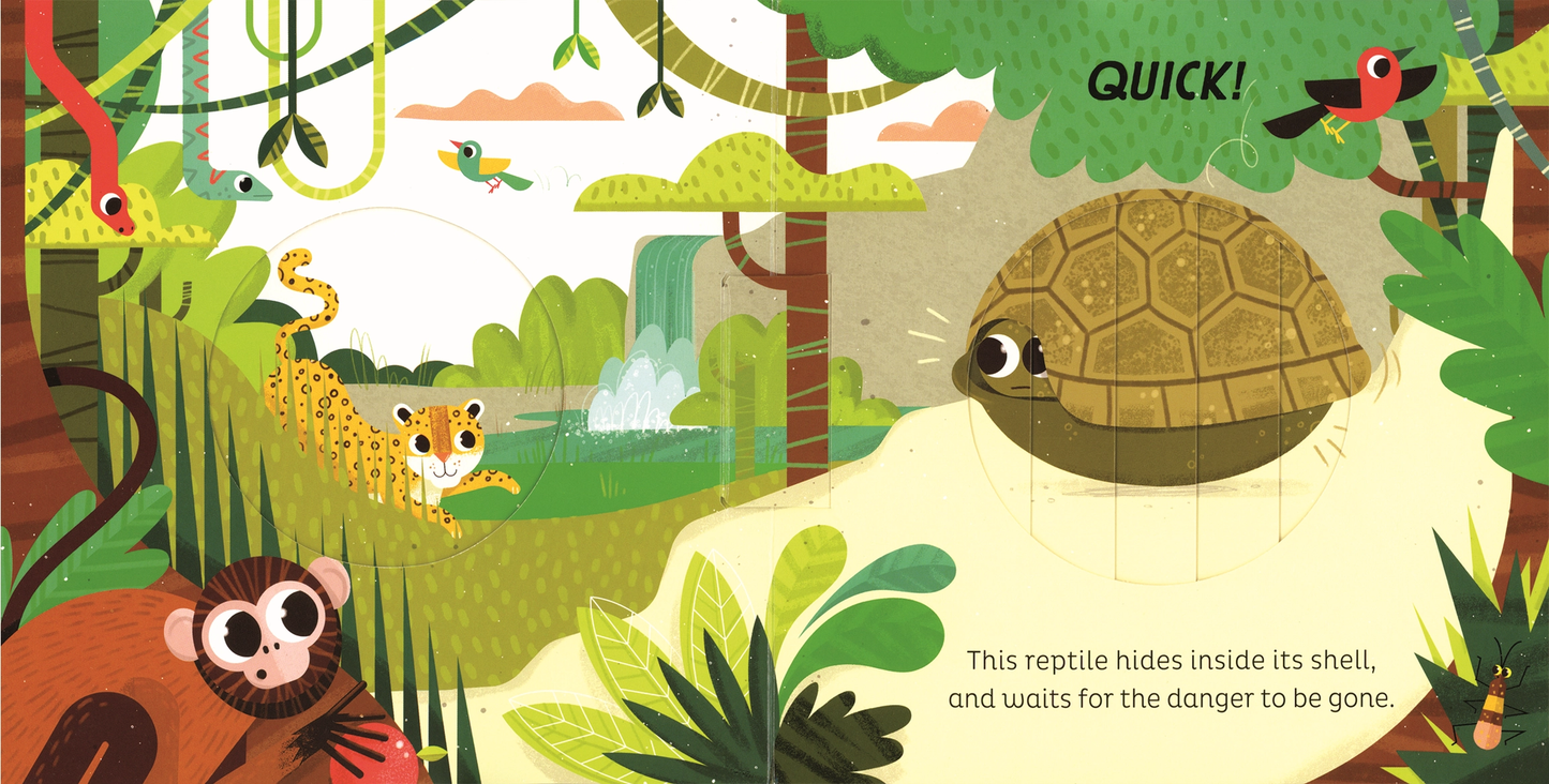 In the Jungle Board Book