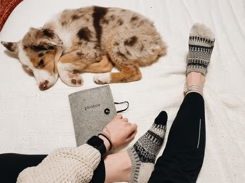 Pepper Ankle Socks