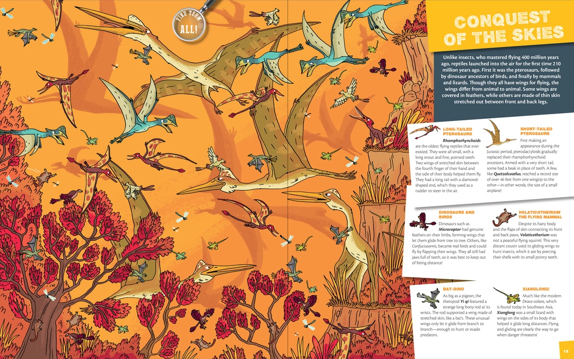 Seek & Find Dinosaurs Book