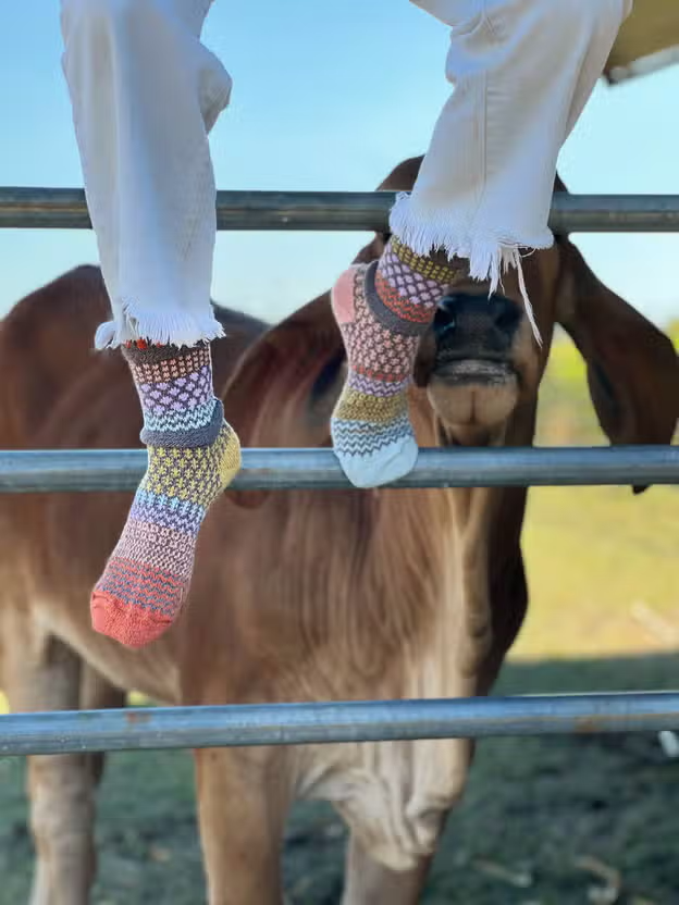 Olive Crew Socks