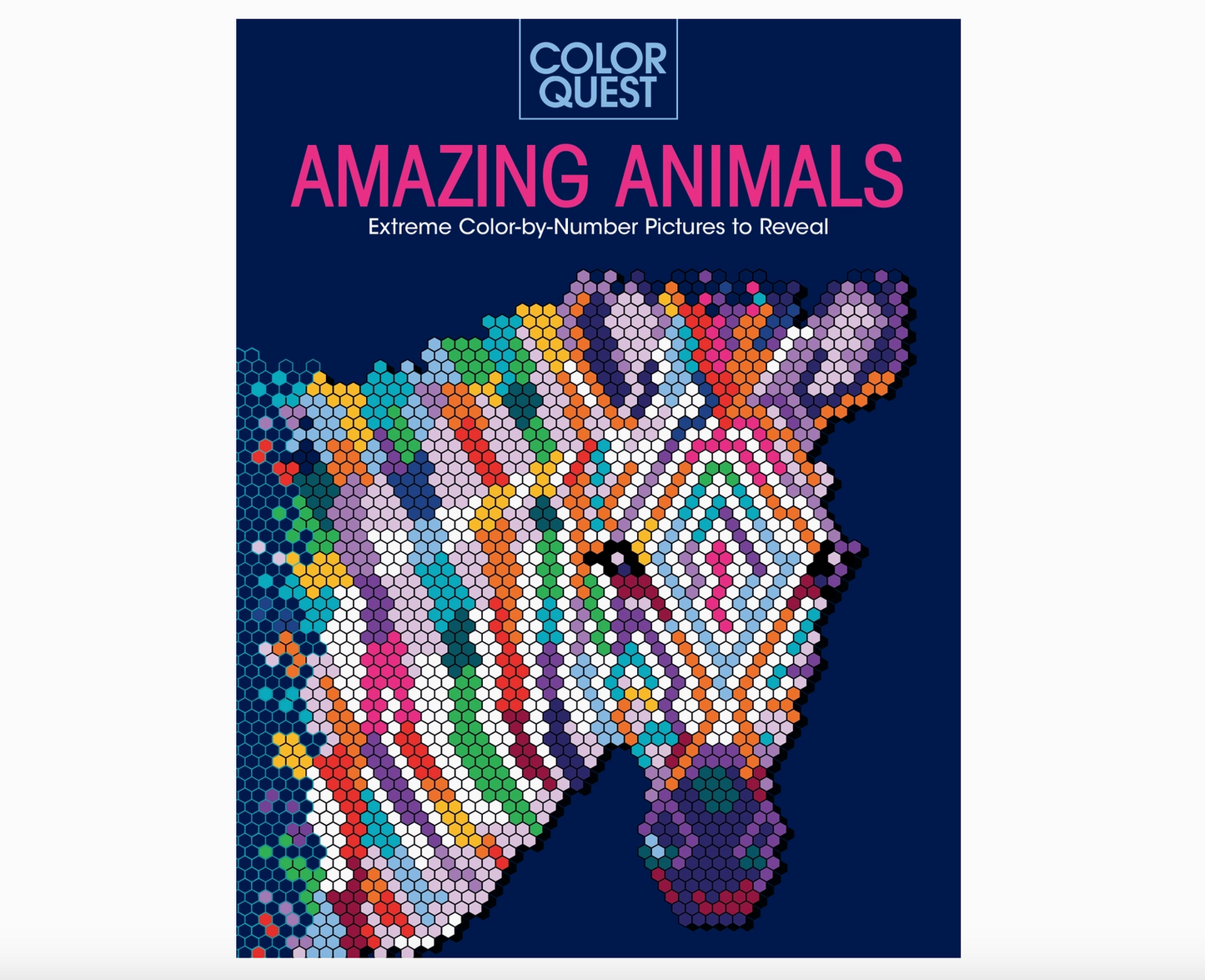 Color Quest: Amazing Animals