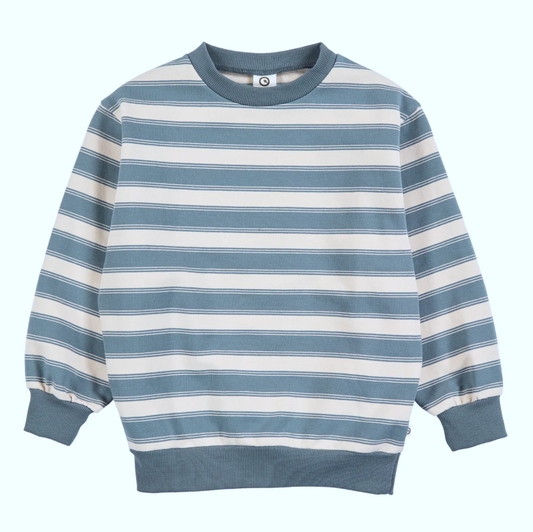Kids Striped Sweatshirt