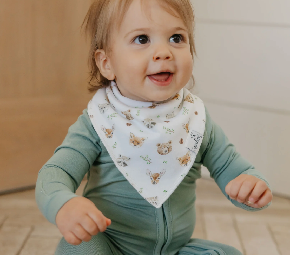 Wilder Baby Bandana Bib Set 4pk
