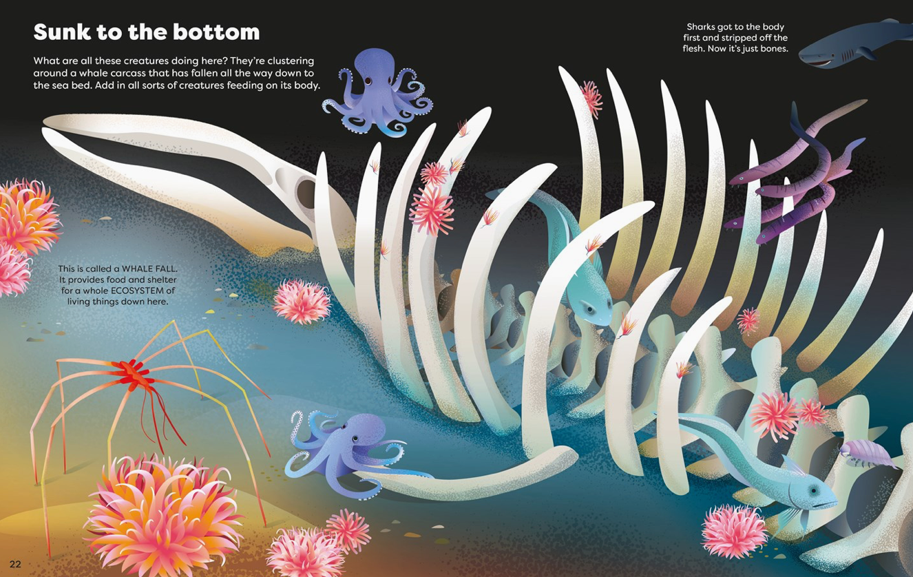 Big Sticker Book Weird Deep Sea Creatures