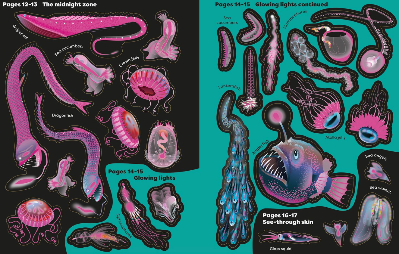 Big Sticker Book Weird Deep Sea Creatures